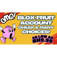 BLOX FRUIT ACCOUNT PC GAME