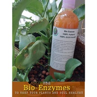 Bio Enzyme For Plants and Soil