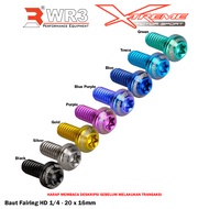 WR3 Fairing Titanium Bolts for Harley Davidson Motorcycles 1/ 4 - 20 x 16mm