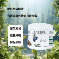 肥料级硫酸铵国标正品铵态氮肥酸性蓝莓桂花高纯晶体水溶补氮补硫Fertilizer grade ammonium sulfate GB genuine ammonium nitrogen fertili