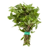 Daun Selasih ~100g/pkt