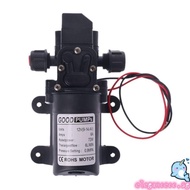 ELEGA for DC 12V 130PSI 6L Min Water  Pressure Diaphragm Self Priming Pump 70W