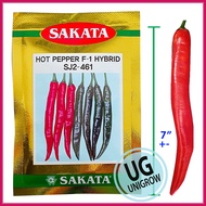 (10gm) +-1500 Biji F1 Sakata 461 Cili Benih Sakata / Hot Pepper