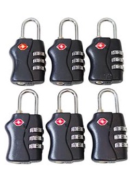 🔓$35  (圖中全部6個)  🔒 TSA 海關  密碼鎖
