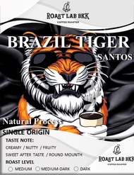 Roast.Lab.BKK เมล็ดกาแฟ Brazil Tiger No.2 Santos Fine Cup เมล็ดกาแฟบราซิลซานโต้ด