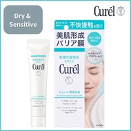 Curel, INTENSIVE MOISTURE CARE Powder in Balm,hide pores,makeup base,sensitive skin,japan