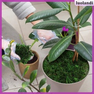 Artificial Plants Indoor Fake Peat Gardening Moss Decorative for Planter Table