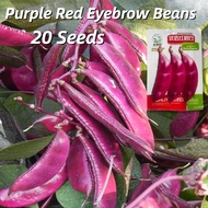 High Yield Purple Eyebrow Beans Seeds (20 Seeds) Red Lentil Seeds Tanam Pasu Flat Bean Purple Hyacin