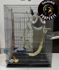 sangkar burung kenari / sangkar kerambah umbaran burung bahan galvanis