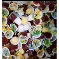 Small Animal Special Jelly Various Flavors Hedgehog/Beetle/Unicorn/Stag Beetle/Insect