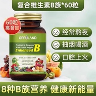 ✨Shop Celebrate Authentic American Vitamin b Compound Metabolism Slow Ladies b2b12 Vitamin b1b6b9 Pr