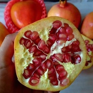 buah delima mesir merah manis 1buah