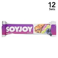 [ 12個入組] SOYJOY 3種葡萄乾 30g