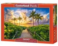 CASTORLAND 3000 Piece Jigsaw Puzzle, Colorful Sunrise in Miami, USA, Adult Puzzle, Castorland C-3006