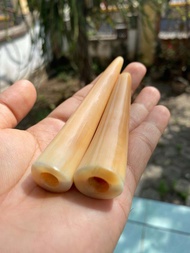 once taring duyung kualitas super panjang 10cm