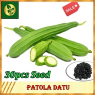 Patola Seeds | Patola Datu | Vegetables seeds | Golden Plant and Seed Store