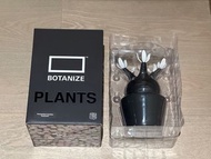 MEDICOM TOY × BOTANIZE VCD Pachypodium Gracilius Var. BLACK