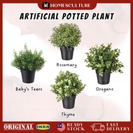 FEJKA Green Potted Artificial Decoration Plants Indoor Plant Pokok Bunga Hiasan Flower Decor Thyme R
