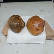 F051l k3r4ng spsang super stone naturalnatural