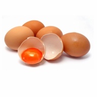 TELOR AYAM OMEGA 3 ORGANIK PREMIUM SEHAT BERKUALITAS 10 PCS / PACK