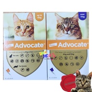 Elanco Advocate Cat Box Flea Medicine Cat Ear Mite Medicine Cat Worm Medicine