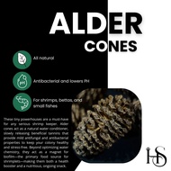 All Natural Alder Cones Aquarium Botanical 8 Cones