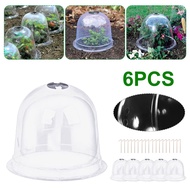 polycarbonate roofing sheet 6Pcs Greenhouse Garden Plant Bell Cover Frost Guard Anti Freeze
