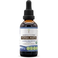 Secrets of the Tribe Yerba Mate USDA Organic Tincture | Alcohol-Free Extract, High-Potency Herbal Dr