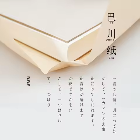 A4 A5 Tomoe River Paper 50 Sheets High Sheen Color Ink Friendly Drawing Paper Thin Layer Analysis Sp