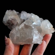 German Fluorite | 2023 Munich Mineral Exhibition Selection 23J03C8