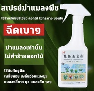 ยาฉีดแมลงกินใบ 500g ยาฆ่าแมลงกินใบ สารกำจัดแมลง ยาฆ่าเพลี้ยไฟ ยากำจัดตะไคร่ pest control spray ยาฆ่าแมลง ยากำจัดเพลี้ย ยาฆ่าแมลงปีกแข็ง สารกำจัดศัตรูพืช ยากำจัดแมลง ยาฆ่าเพลี้ยขาว ยาน๊อกหนอน เพลี้ยจักจั่น ยาฆ่าหนอนเจาะ ยาหนอนเจาะ เพลี้ยจั๊กจั่น