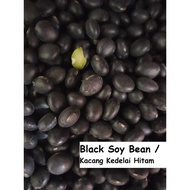 HITAM Black soy bean seed Black soybean bean seed (Glycine max)