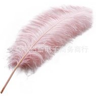 Ostrich Feather Long Wedding Ostrich Feather Centimeter White Lamp Home Decor Feather Feather70-75Ca