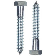 Expansion Bolt Screw 1/4" x 1" - 4" Lag screw Galvanized (10 PCS/order)