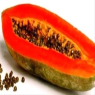 Isi 25 biji pepaya jingga unggul Seeds/benih biji