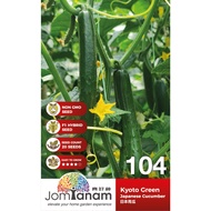 Japanese Cucumber Kyoto Green JT-104 (20 seeds)
