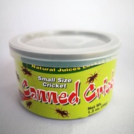 [ READY STOCK ] Cengkerik Dalam Tin / Canned Crickets 35g Makanan Burung/Ikan/Kura