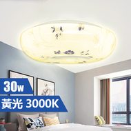 新而光 - (LSCLK-30W) 蘋果罩LED天花吸頂燈 30W 黃光3000K #LED天花燈 #家居燈飾