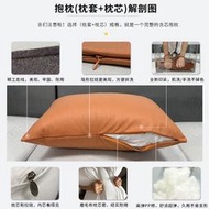 N1CG2024新款科技布抱枕客廳皮沙發大靠背墊靠枕罩套橘色長腰枕不