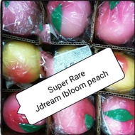 Jdream x Ibloom Super Rare Jumbo Flour Peach Squishy