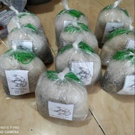 Warehouse sale of 7 feet 2.1 meters 3/s 4 inches string 028