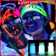 WIN Luminous Mica Powder Perfect for Epoxy Resin Liquid Resin Colour Pigment DIY