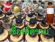 เชื้อเห็ดป่ารวมในขวดเดียว ขนาด 500 ml. (เห็ดระโงกห็ดเผาะเห็ดถ่าน เห็ดน้ำหมาก เห็ดไค เห็ดตับเต่าและเห็ดโคนปลวก) มีของแถม