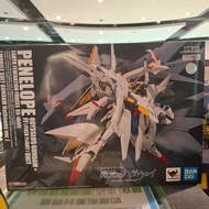 黃埔聚寶坊B1b號舖門市現貨）ROBOT魂  Ka signature RX-104FF PENELOPE Odysseus Gundam + FF Unit 潘尼洛普 閃光的哈薩威Ver.