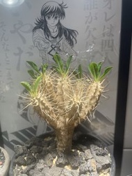 精品鬼棲閣