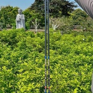 Cần Câu Tay Hắc Điếu Sư 4H Chuyên Câu Rô Diếc Chép