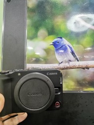Canon R50 V R50V Body Vlog 相機 最新款拍片一流 行貨剛5月購買, 長保養1+1 保養期至27年5月，原廠保 全新一樣