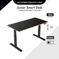 Smart Desk Standing Desk For People Below 160CM Height Adjustable Study Table
