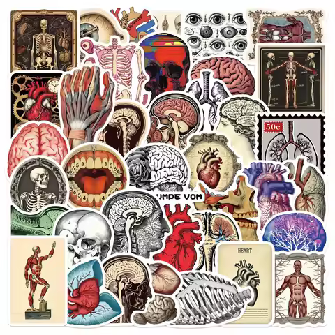 50PCS Retro Scientific Anatomy Sticker Physiology Anatomy Luggage Laptop Cars PVC Guitar Coffee Skat
