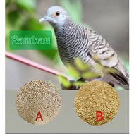 Bird Feed White Millet/Makanan Burung Sambau A/B 1kg